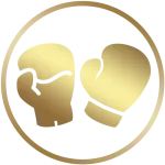 icon-mma